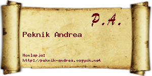 Peknik Andrea névjegykártya