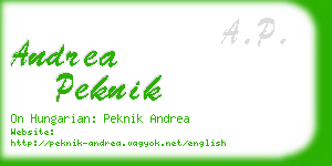 andrea peknik business card